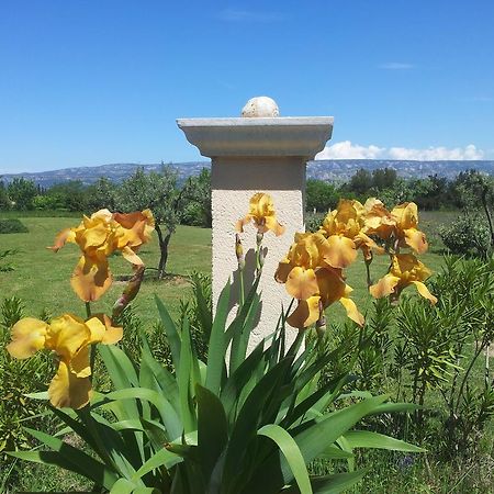 Bed and Breakfast Lamanderie En Provence Alleins Экстерьер фото